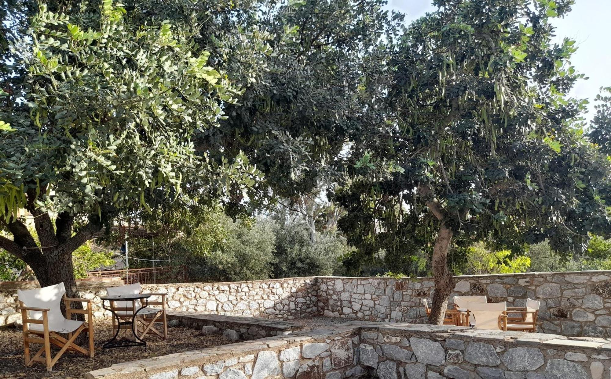 Апартаменты The Two Carob Trees, Traditional Stonehouse, Nikandri, Pirgos Diros Lefkias Экстерьер фото
